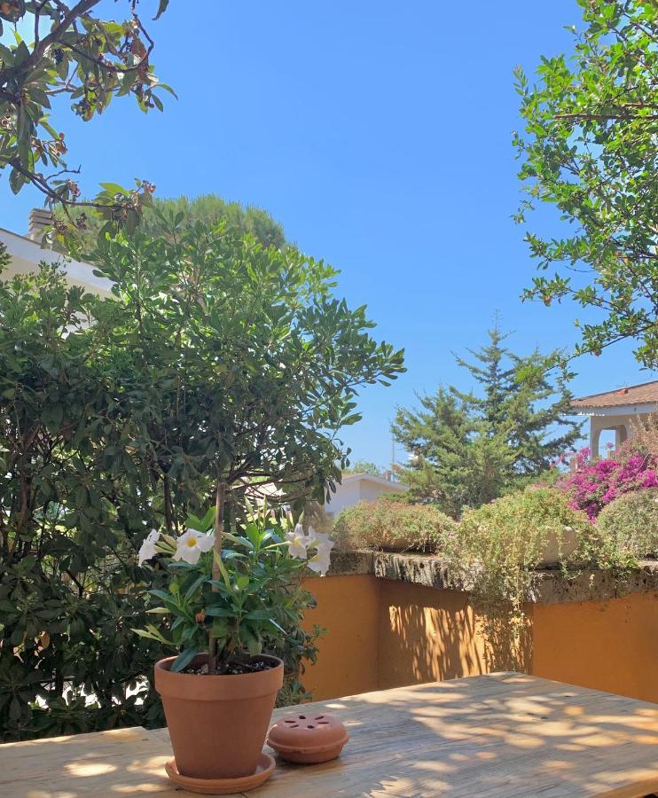 Santa Beach House Santa Marinella Dış mekan fotoğraf